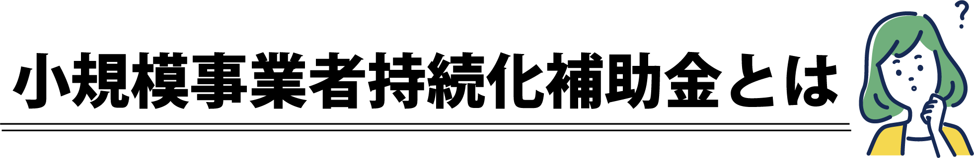 小規模事業者持続化補助金とは